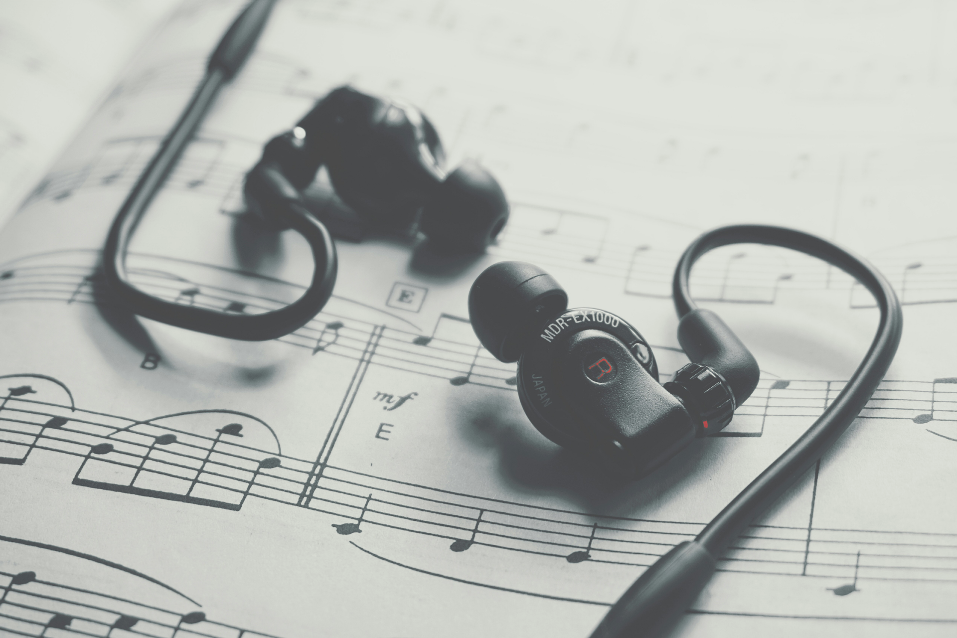 Begin Your Musical Adventure with Donner