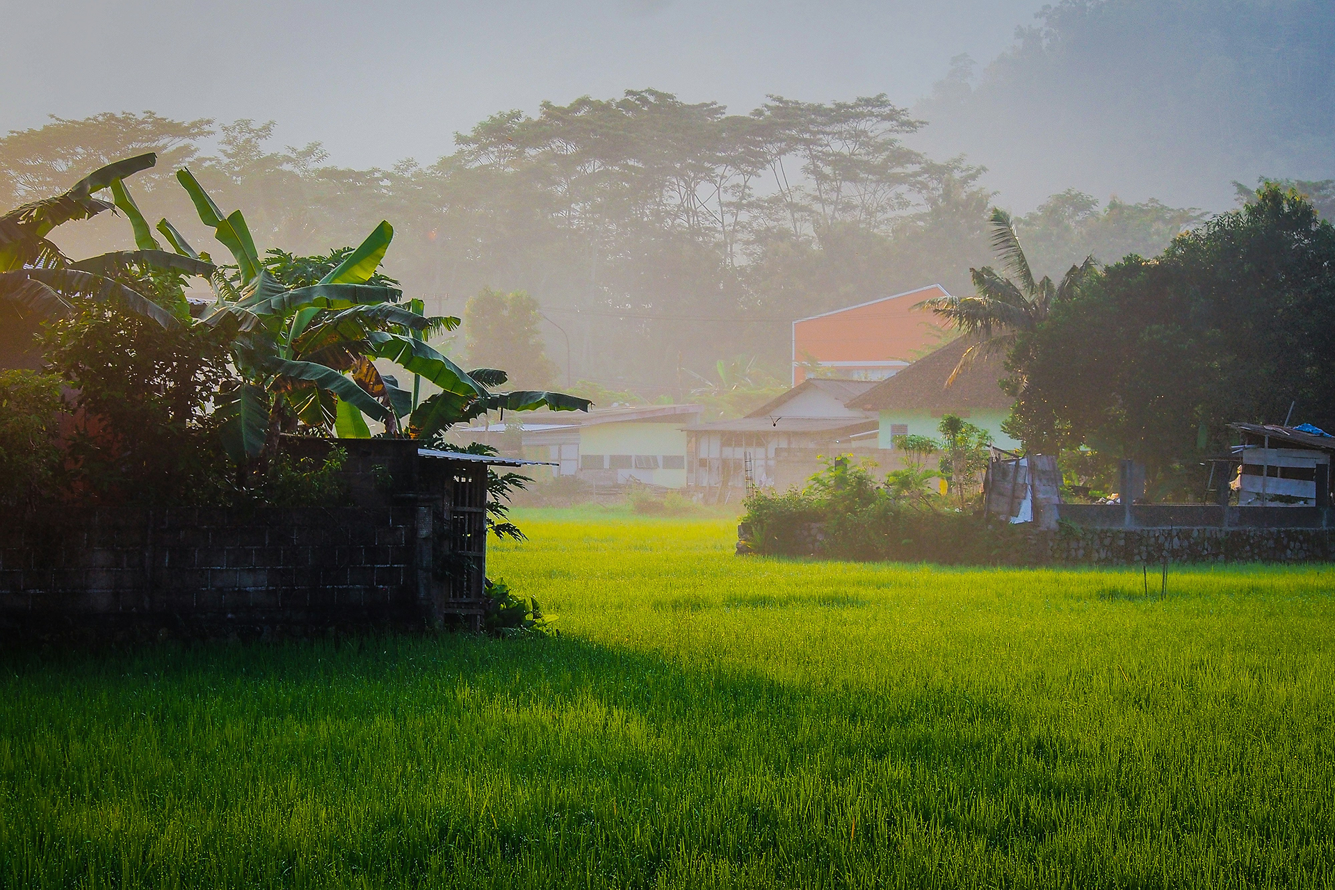 Navimow: Redefining Modern Lawn Care